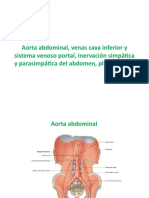 Aorta Abdominal, Venas Cava Inferior y Sistema