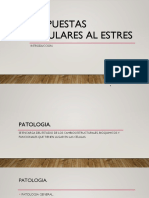 Documento PDF