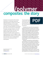 Clay:Polymer Nanocomposites