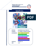 Informe Safci