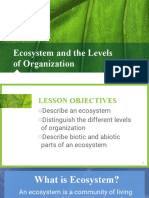 3 Ecosystem and The Levels of Organization