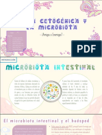 Dieta Cetogénica y Microbiota