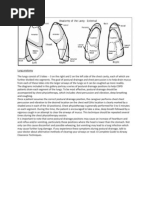 Download Postural Drainage by Van Pyre SN59025184 doc pdf
