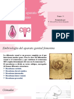 Embriología y anatomía del aparato genital femenino (1)