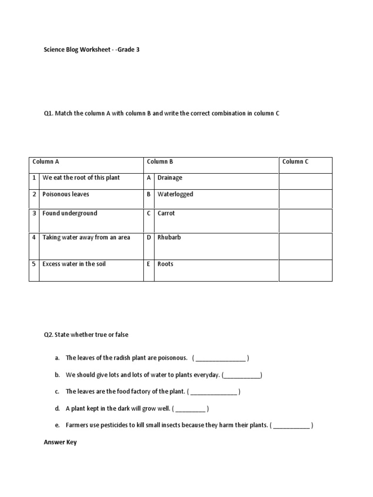 Science Blog Worksheet 1 Year 3 | PDF