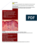 DERMATITIS