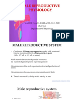 Male Reproductive Physiology