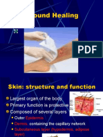 Chapter 6 Woundhealing