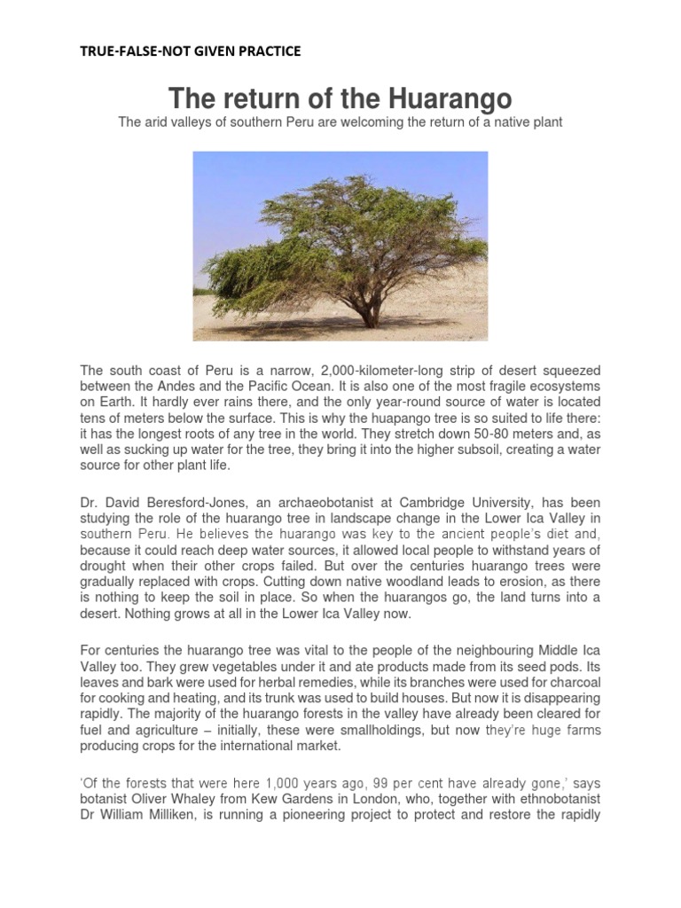 the-return-of-the-huarango-pdf-trees-desert