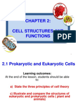 2.1 A. Cell Theory B. Prokaryote Eukaryote 1