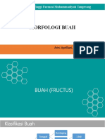 Morfologi Buah: Klasifikasi dan Jenis Buah