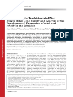 Developmental expression of tshz2 and tshz3b in zebrafish