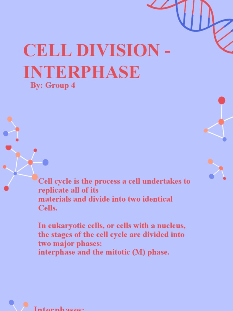 Cell Division - Interphase g4 | PDF