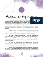 Histórico Da Organização