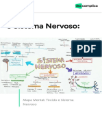 Mapa Mental Tecido e Sistema Nervoso Descomplica