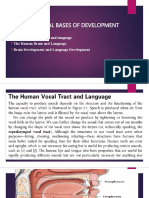 The Biological Bases of Language Development