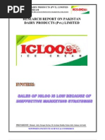 Sales of Igloo is Low Because of Ineffective Marketing Strategies