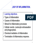 Immunology of Inflammation - Slides