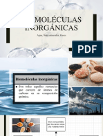 Biomoléculas inorgánicas: agua, sales y gases esenciales