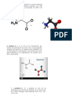 AMINOACIDOS