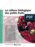 Culture_biologique_petits_fruits