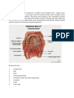 6 Organ Pencernaan