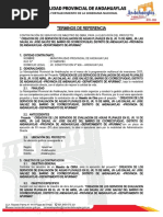 TDR Servicio de Maestro de Obra 2022