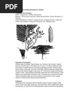 Download KAYU BUDIDAYA POTENSIAL by ariyadi SN59034459 doc pdf