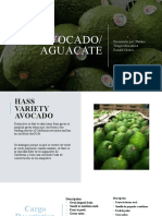 AGUACATE
