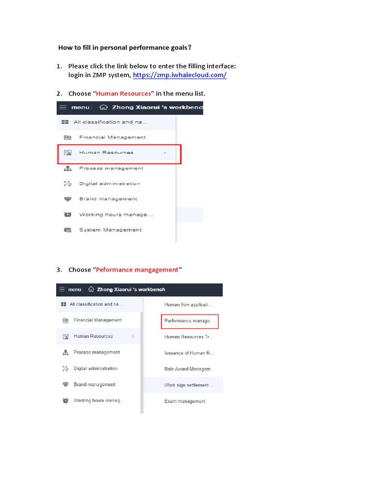 Guideline On Personal Performance Goal Filling and Query | PDF