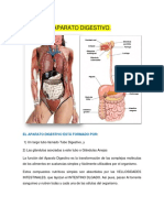 Digestion y Metabolismo