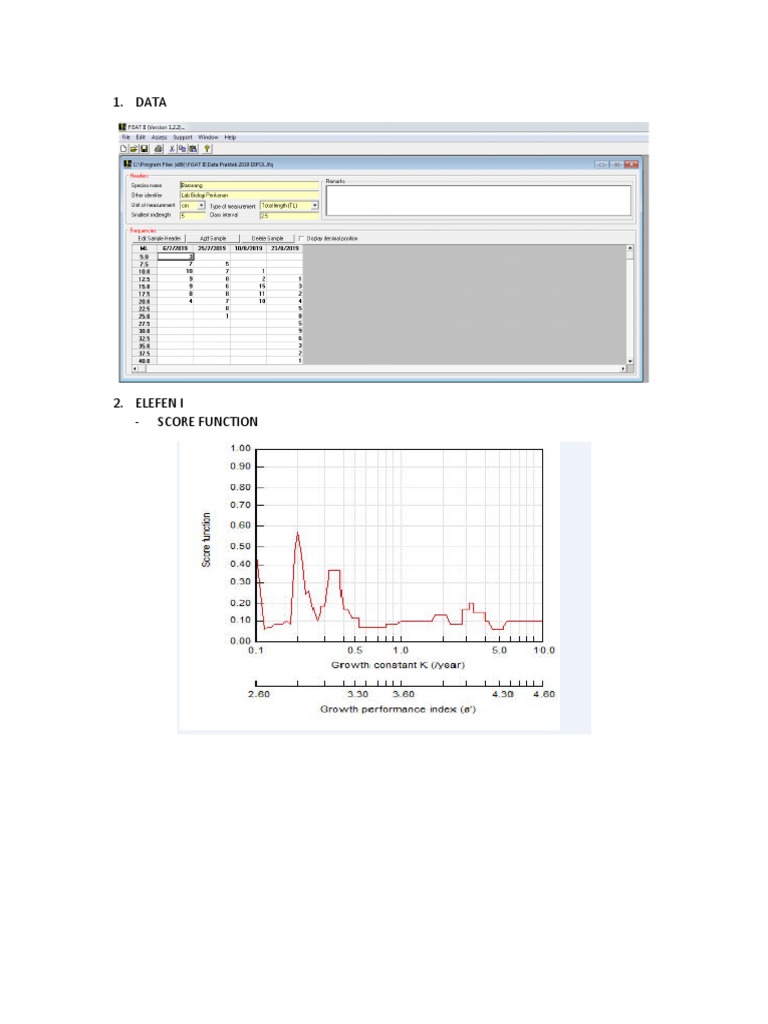 Elefen I Score Function Analysis | PDF | Computers