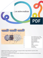 Resumen Mitocondria