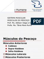 MUSCULOS PESCOÇO