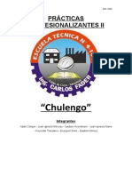 Informe Chulengo - Practicas II