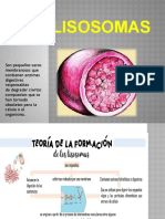 LISOSOMA