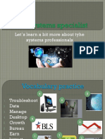 The Systems Specialist
