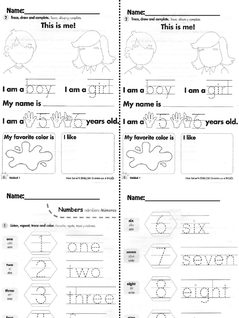 Numeros y Los Colores Primer Grado Ingles PDF