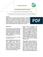 Informe 8 COMPLETO