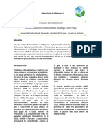 Informe 12 COMPLETO