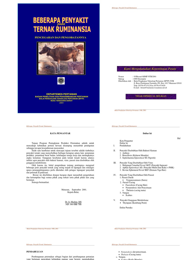 Penyakit Pd Ternak Ruminansia Penyakit Pd Ternak Ruminansia