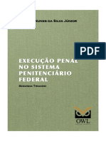 7 Execução Penal No Sistema Penitenciário Federal