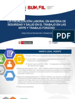 Fiscalizacion Laboral Mype y Trabajo Forzoso