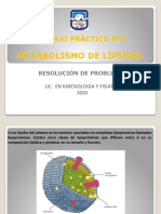 TPA #4 Metabolismo de Lipidos