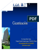 Cicatrizacion,.