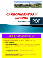 Carbohidratos y Lipidos