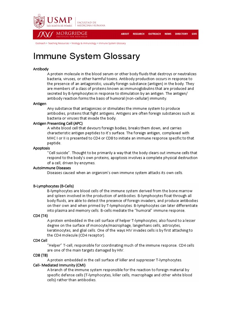 Immune System Glossary PDF Immune System Lymphocyte