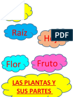 Plantas y Sus Partes 2