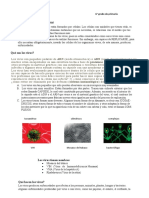 Los virus: pequeños pero poderosos agentes infecciosos