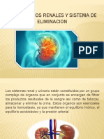 Transtornos Renales y Sistema de Eliminacion